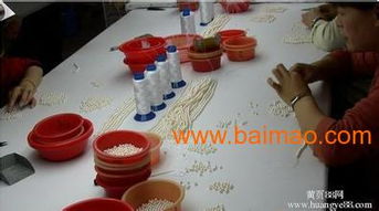 2015年賺錢手工加工項(xiàng)目 珍珠手工活加工全解析